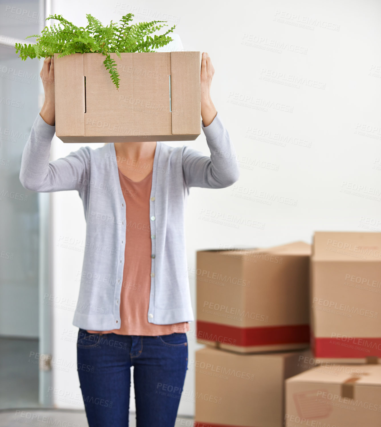 Buy stock photo Box covering face, business and woman with fun, startup and shy with cardboard and management. New beginning, person and entrepreneur with plants and achievement with opportunity and professional