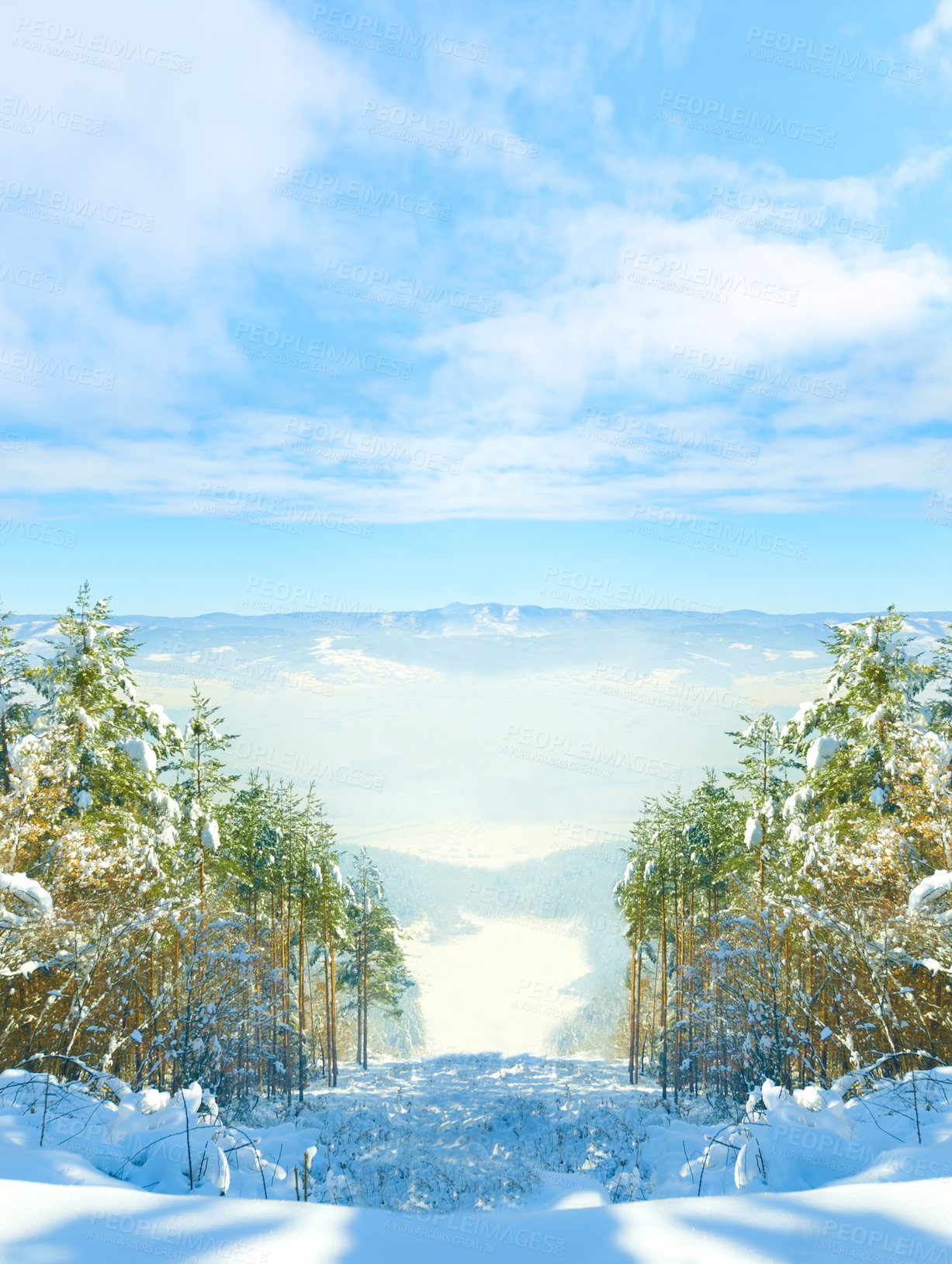 Buy stock photo Woods, snow and landscape in mountains in winter for ski vacation in Canada for explore, holiday or journey. Forest, trees and freezing ice with fog in cold weather or climate, nature or environment