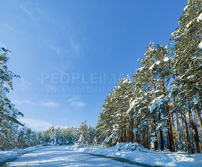 Buy stock photo Snow, forest and mountain road or outdoor winter in Canada for environment explore, holiday or cold weather. Woods, trees and path or remote location for travel adventure or blue sky, ice or frozen