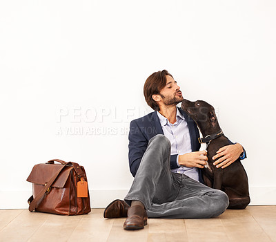 Buy stock photo Cute, love and happy businessman with dog for bonding together with positive and good attitude. Career, briefcase and professional male person playing with pet, puppy or animal on floor at home.