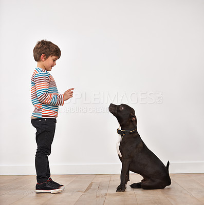 Buy stock photo A cute little boy training his dog