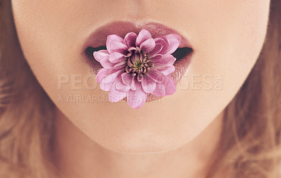 Buy stock photo Closeup shot of a woman with a flower in her mouth