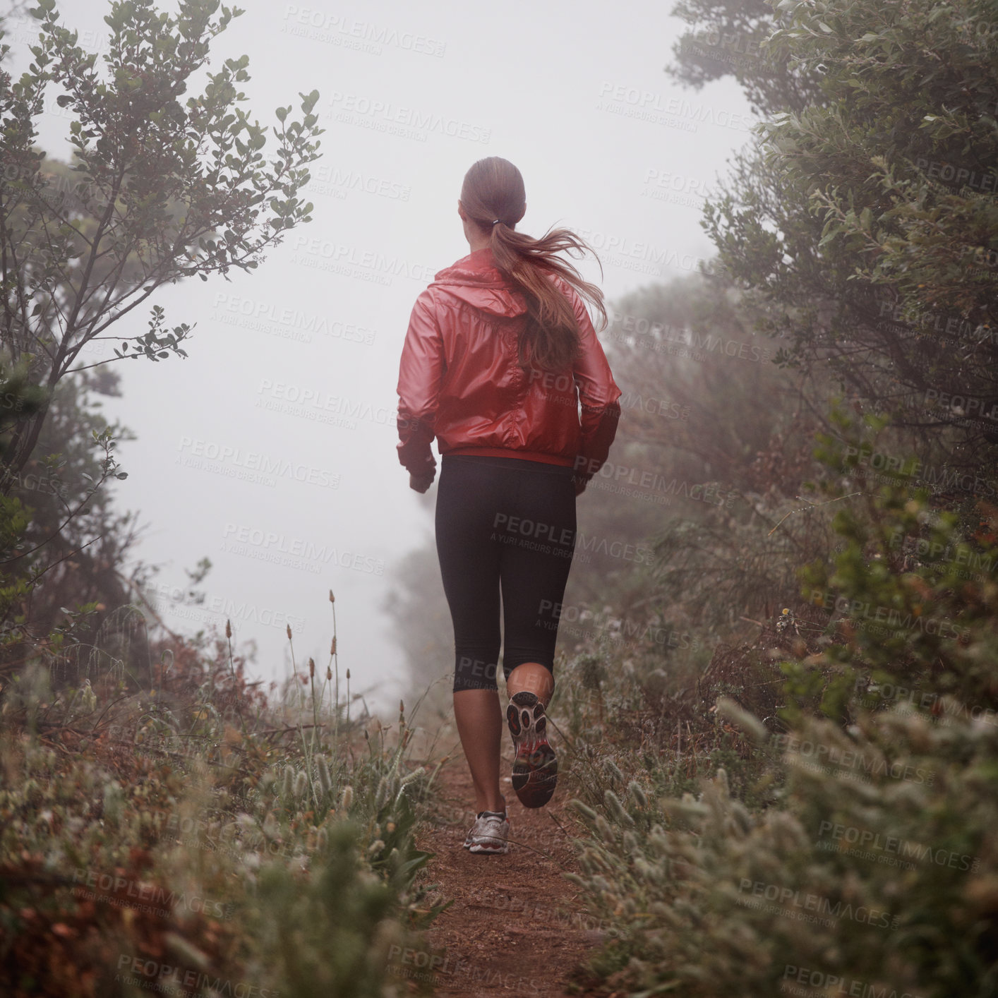 Buy stock photo Woman, rear view and running in forest with exercise for fitness, morning routine and workout with fog and legs. Athlete, person and cardio with sportswear on outdoor trail and woods for wellness