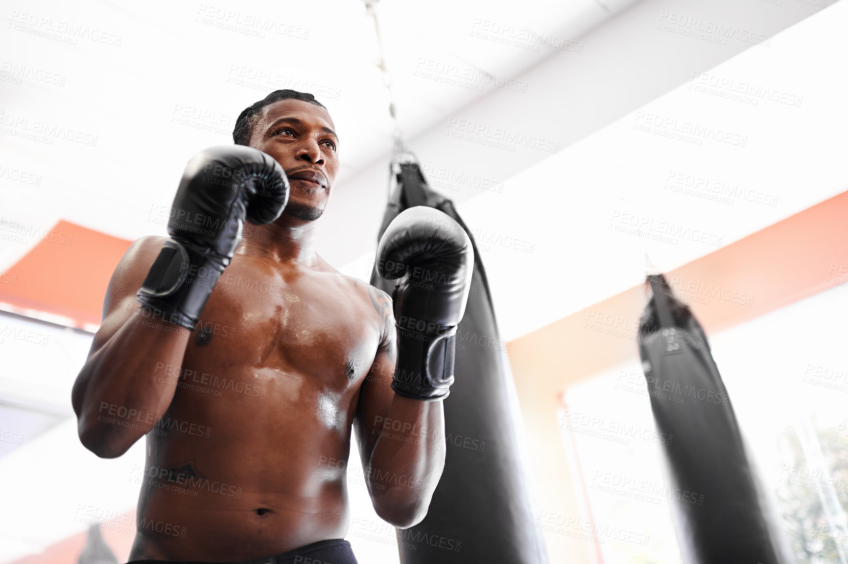 Buy stock photo Man, boxer and gloves for gym fitness or strength practice or fight competition, training or challenge. Black person, sweat and workout for exercise health in Nigeria for confident, muscle or combat