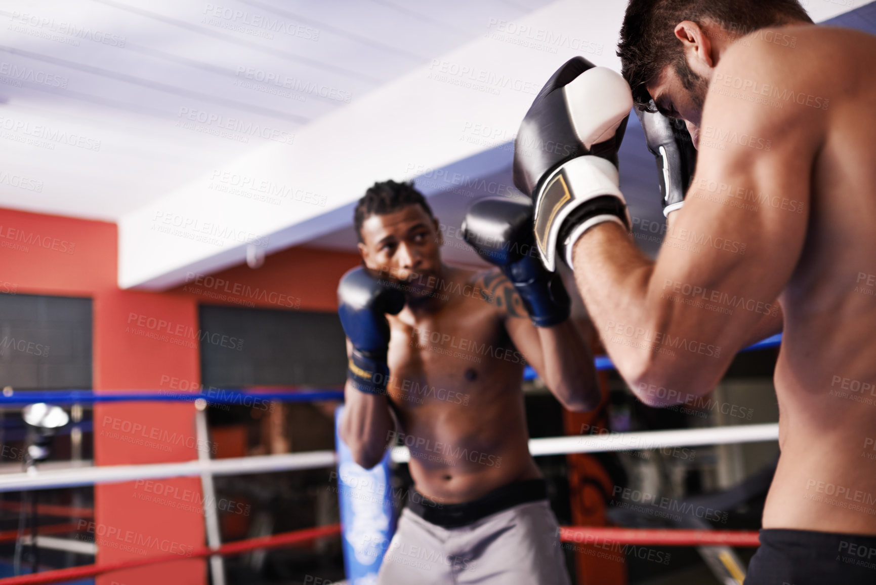 Buy stock photo Men, boxing ring and gloves for fight competition in gym for challenge practice as opponents for workout, exercise or winner. Male people, punch and athlete progress for battle, performance or cardio