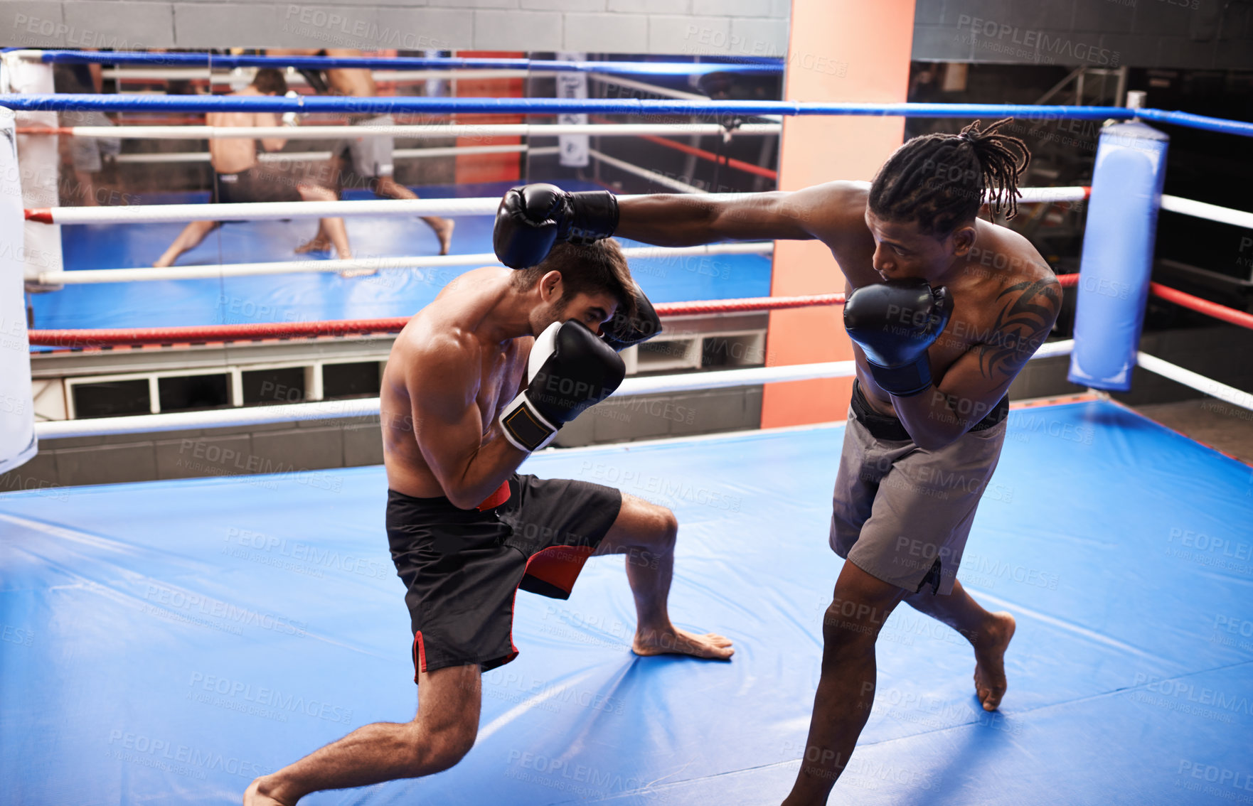 Buy stock photo Men, fighting and boxing ring with punch for competition in gym for endurance development, performance or training. Male people, gear and combat sport together for cardio battle, defence or practice