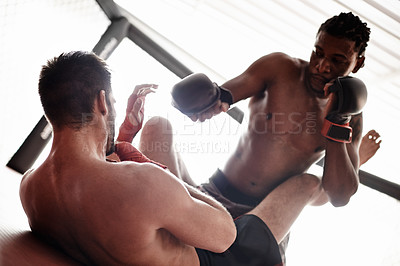 Buy stock photo Fight, wrestling and men sparring in boxing competition, challenge and fitness with sports in gym. Kickboxing match, strong fighter and resilience in exercise, practice and power in battle together