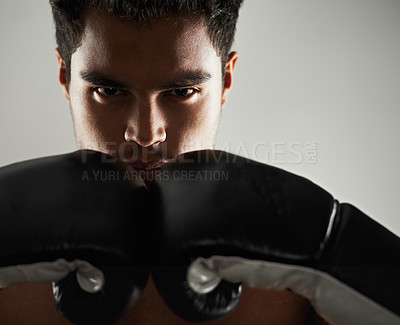 Buy stock photo Man, confident and portrait with boxing gloves in studio for self defense, mma and combat. Male person, fighter and personal trainer for physical sport with commitment, serious and closeup for action