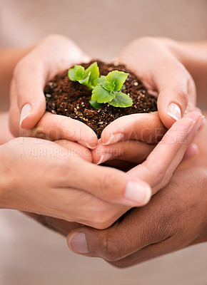 Buy stock photo Loving and caring for the earth, hands holding a beautiful plant growing from soil. Family developing growth, ecology and taking care of the environment for a healthy and sustainable future.