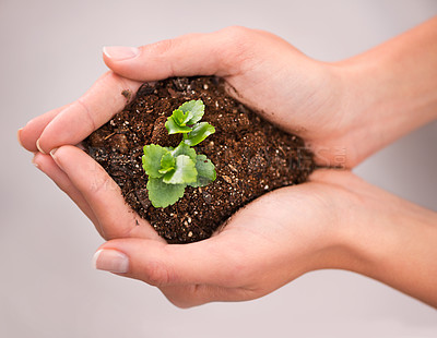 Buy stock photo Hands, plant and soil with nature, growth and hope for sustainability and future. Person, environment and leaf for support, accountability and future development or green energy with startup