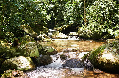 Buy stock photo River, rainforest and trees on landscape with sunshine, growth and sustainability in summer with rocks. Water, leaves and earth in tropical jungle with environment, ecology and nature in Colombia