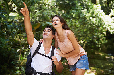 Buy stock photo Pointing, talking or couple hiking in nature or forest for travel on outdoor trekking adventure. Man, woman or romantic people in natural park or woods with care, love or wellness on holiday vacation