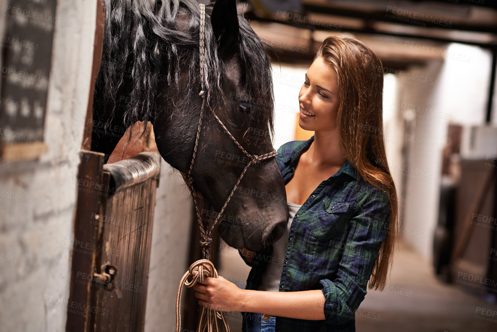 Buy stock photo A young woman in a stable with her horse