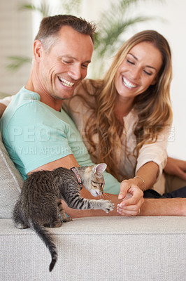 Buy stock photo Man, woman are happy with kitten and pet love, support and care with trust, playful and relax on sofa at family home. Couple with baby cat, kindness and affection with animal on couch for adoption