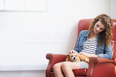 Buy stock photo Woman, touch and dog for bonding in home, happy and mockup space for animal care and love in lounge. Female person, puppy and smile for comfort on armchair, loyalty and affection for pet on weekend