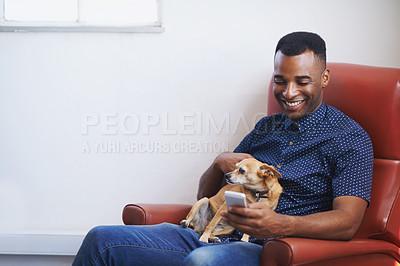 Buy stock photo Man, phone and relax on social media at home, online and internet for website or blogging. Black male person, dog and  typing for conversation on armchair, pet animal and app for shopping on weekend