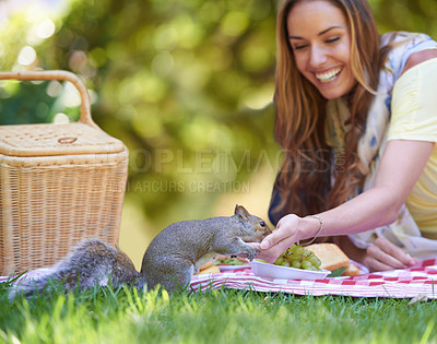 Buy stock photo Woman, squirrel and happy with picnic in nature to relax, grass and park for peace outdoors in environment. Female person, chipmunk and lawn with basket for food, smile and calm with animal.