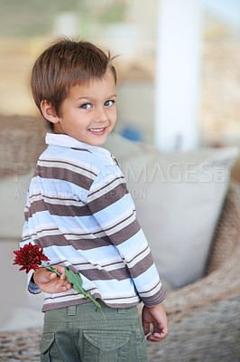 Buy stock photo Flower, gift and portrait of a child with a present and giving for mothers day with a smile in a home. Happy, celebration and young boy with a surprise for holiday in living room with plant in lounge
