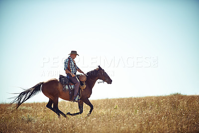 Buy stock photo Action shot of a man riding a horse in a field