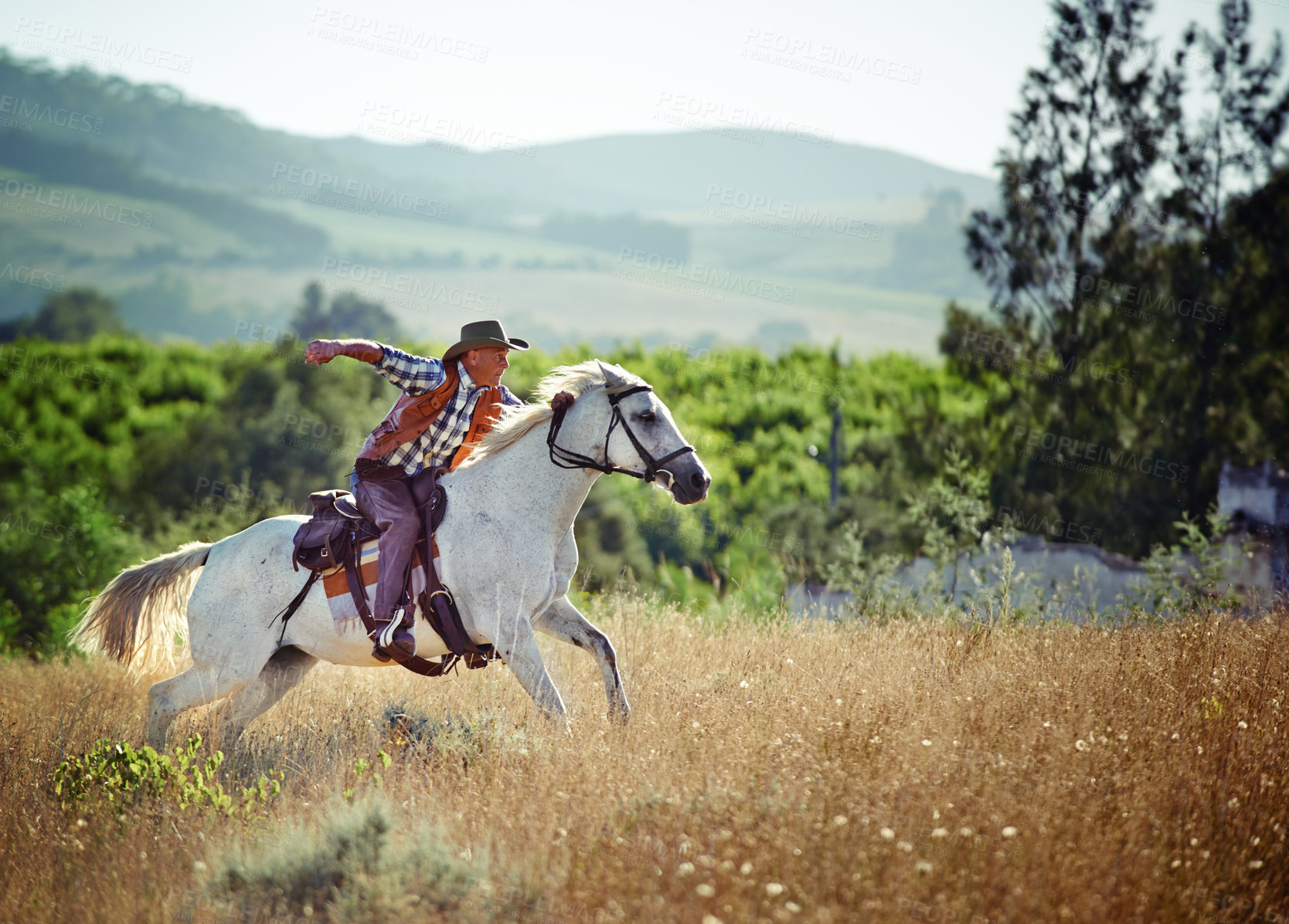 Buy stock photo A cowboy on his horse