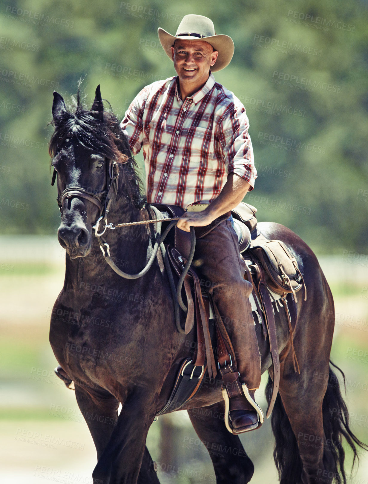 Buy stock photo Portrait, cowboy and man riding horse with saddle on field in countryside for equestrian or training. Nature, summer and smile with mature horseback rider on animal at ranch outdoor in rural Texas