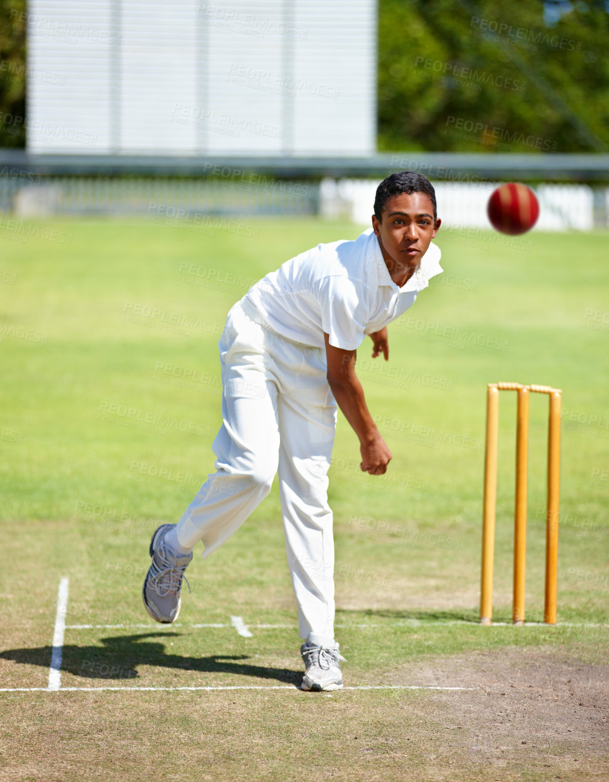 Buy stock photo Cricket field, game and man with sports, workout and fun with competition and grass with sunshine. Person, athlete and player with a ball and cardio with training or practice with summer and exercise