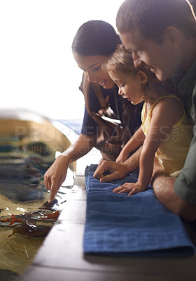 Buy stock photo Cropped shot of a family on an outing to the aquarium