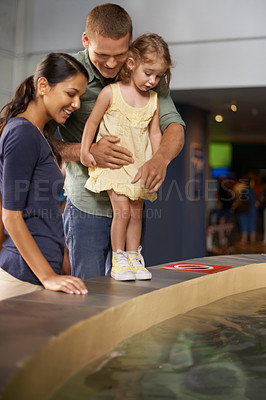 Buy stock photo Happy family, little girl and aquarium with water for sightseeing, travel or tour at the zoo. Mother, father and child or kid looking at sea creature, fish or explore exhibit for bonding or holiday