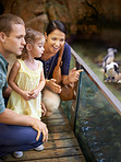 Aquariums- a paradise for kids