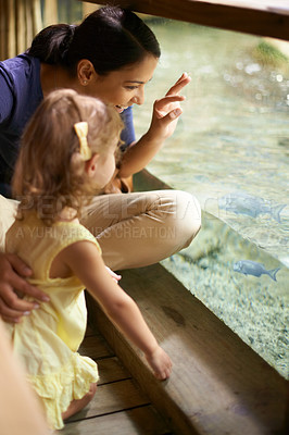 Buy stock photo Happy mother, child and aquarium with fish tank for sightseeing, learning or education of sea animals. Mom and young little girl looking at glass exhibit or exploring creatures in water at the zoo