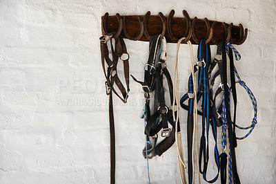Buy stock photo Riding bridle, tack and horseshoe in wall leather, rope and metal or steel on farm. Countryside, equestrian and wooden with rein for rural, western and horse gear for training or competition