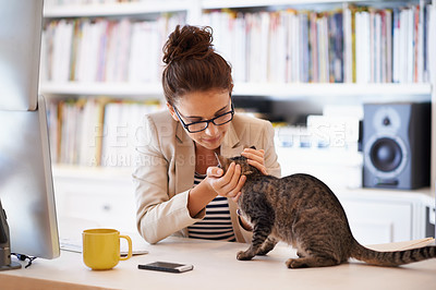 Buy stock photo Woman, cat and home office at computer with love for pet as freelance journalist for proposal research, article or connectivity. Female person, animal and care or virtual career, review or online
