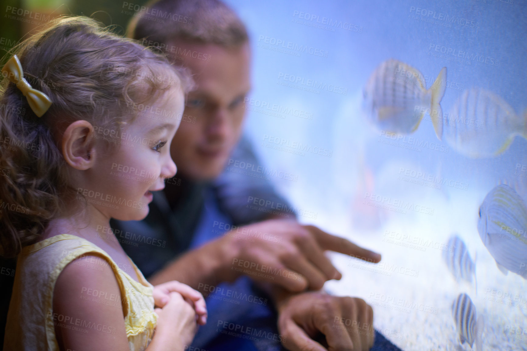 Buy stock photo Dad, aquarium and girl looking at fish for learning, curiosity and knowledge, education and bonding. Father, oceanarium and child with parent watching marine life underwater in fishtank on vacation.