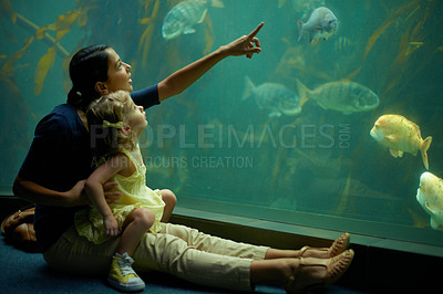 Buy stock photo Cropped shot of a little girl on an outing to the aquarium