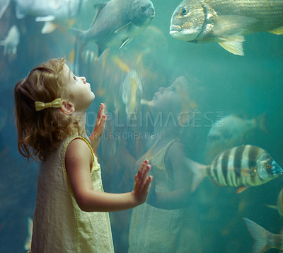 Buy stock photo Cropped shot of a little girl on an outing to the aquarium