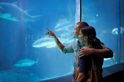 Buy stock photo Smile, aquarium and couple pointing at fish on vacation, holiday or date together. Happiness, oceanarium and man and woman watching marine life, animals swimming underwater in fishtank and hugging