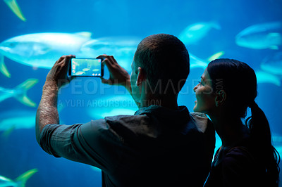 Buy stock photo Shot of a young couple taking a snapshot of the fish in an aquarium