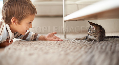 Buy stock photo A little boy lying on his bedroom floor and playing with a kitten