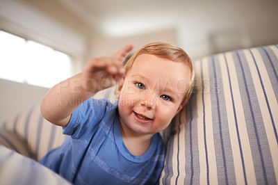 Buy stock photo Toddler, playing and portrait of baby on couch in home for fun crawling or learning in living room. Happy, boy or face of a curious male kid on sofa for child development or growth in a house alone