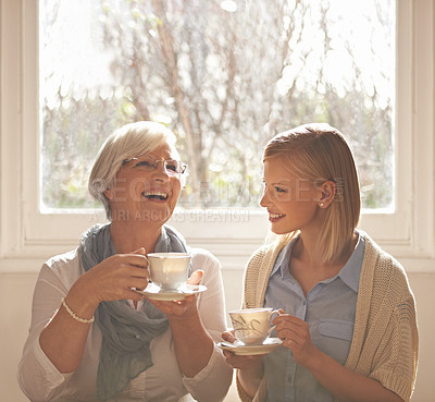 Buy stock photo Cropped shot of an attractive young woman visiting her gran for tea