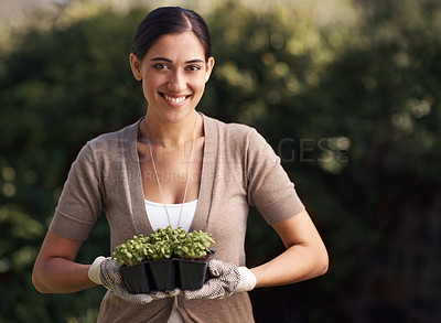 Buy stock photo A beautiful young woman holding a punnet of small plants