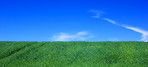 Landscape - green and blue