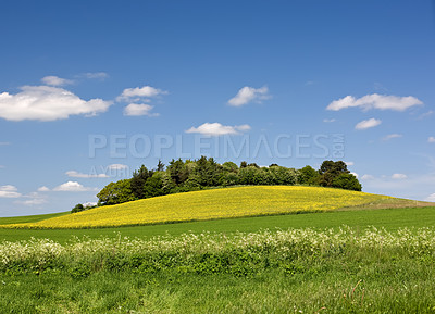 Buy stock photo The countryside - beautiful blue sky and grass
