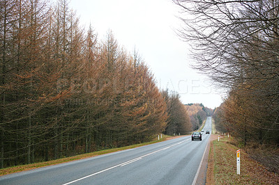 Buy stock photo Forest road in autumn (Denmark)