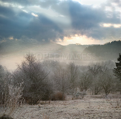 Buy stock photo Winter, landscape and sky with snow in forest on frozen morning for weather or cold season. Clouds, nature and trees in wood for conservation of misty ecosystem, environment or natural habitat
