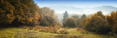 Buy stock photo Autumn landscape in Denmark