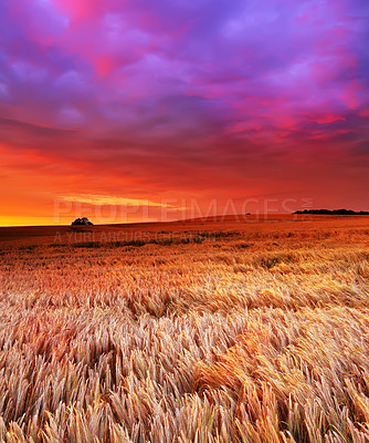 Buy stock photo A photo of the countryside at sunset