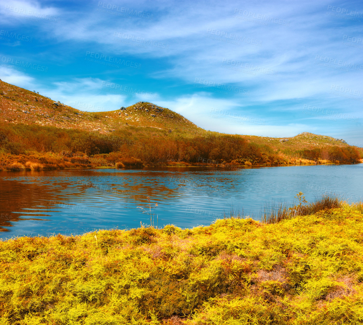 Buy stock photo Landscape, lake and hill with nature, savanna and bush with environment in sunshine with grass by water. Field, river and stream for growth, sustainability or ecology in swamp, summer or countryside