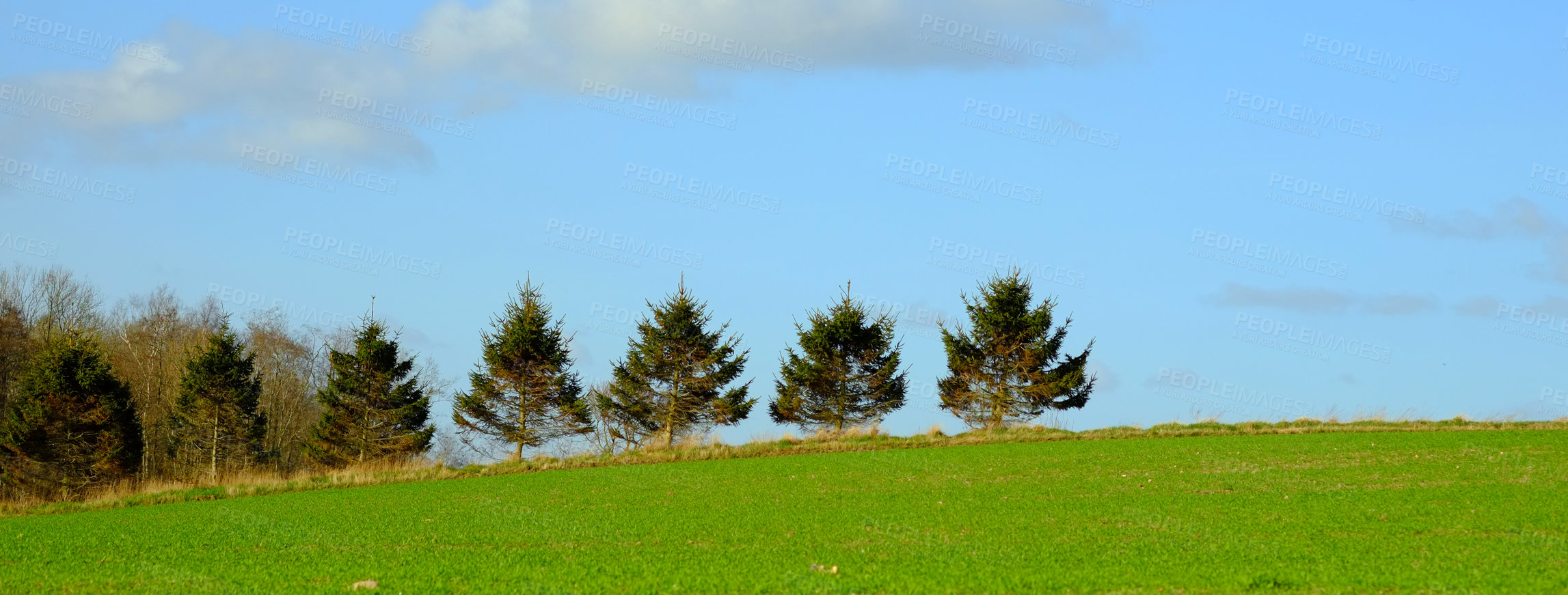 Buy stock photo Summer, trees and nature for location in environment, landscape and blue sky in climate for travel. Outdoor, sun and countryside of Turkey, clouds and meadow for vacation in Europe for peace