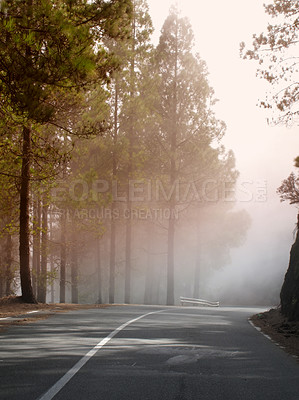 Buy stock photo Road, trees and sky with fog in winter for journey, travel and trip on highway with overcast weather. Environment, cloudy and street at countryside with nature, horizon and view of forest or woods